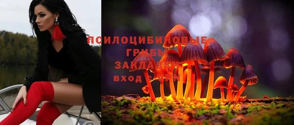 a pvp Горняк