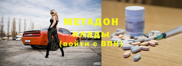 прущие грибы Гусиноозёрск