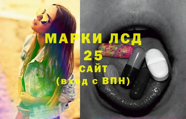 соль ск Горнозаводск