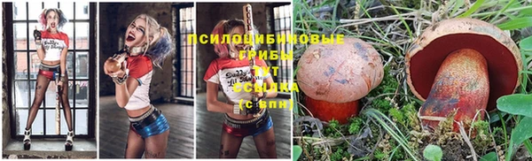 a pvp Горняк