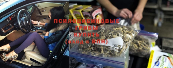 соль ск Горнозаводск