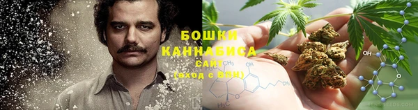 соль ск Горнозаводск